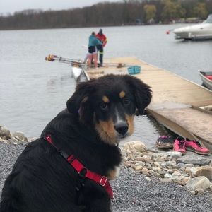 Meet your Posher, Patty